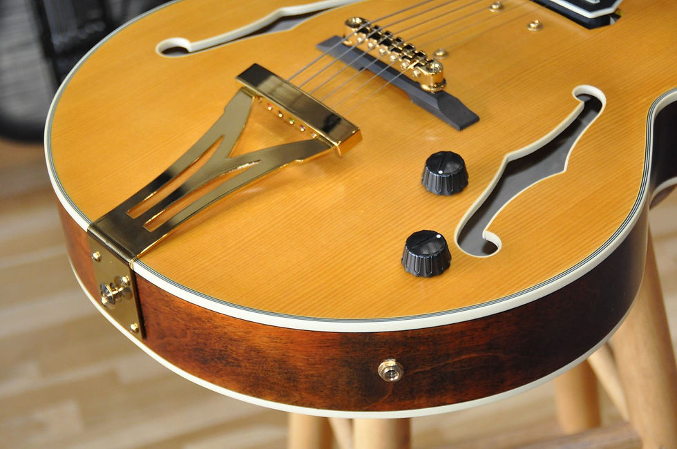 Miniature : IBANEZ PM3C NAL Pat Metheny Signature / Jazz Hollow Body (PW25080308)
