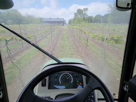 Tractor view of the vineyard, beautiful day today.