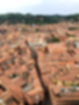 Bologna