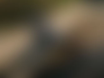 Avoid Dating Like What Movies Show You (It's not what you think!)