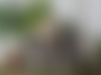 Product omschrijving Raw Roots Organic: Wat gebruik je waarvoor ?