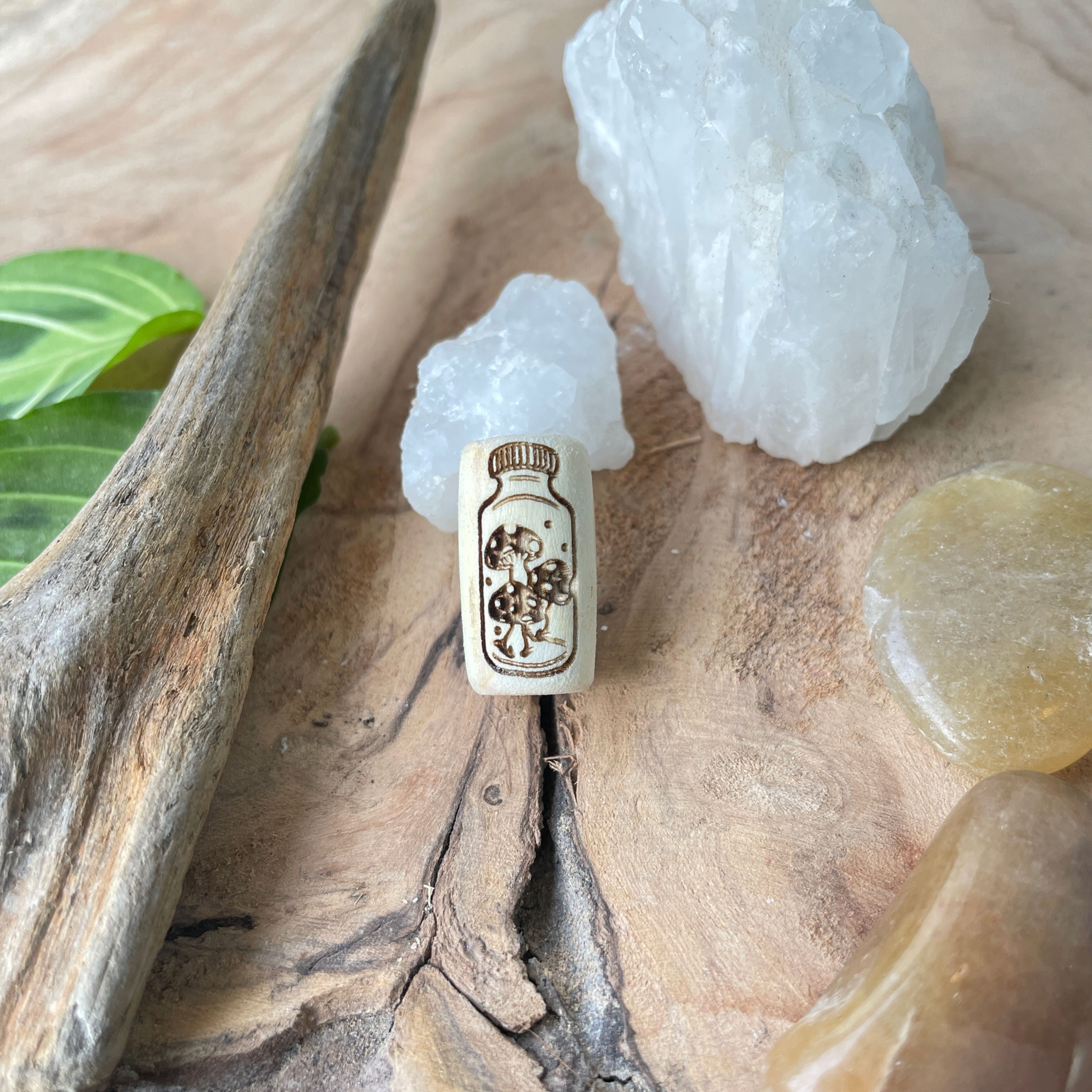 Dreadlock Bead Plantsome Collection