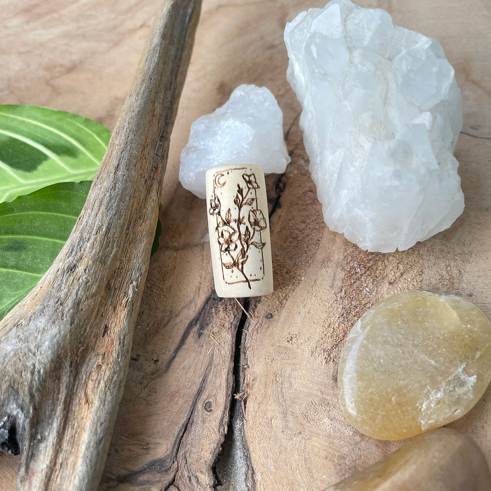 Thumbnail: Dreadlock Bead Plantsome Collection