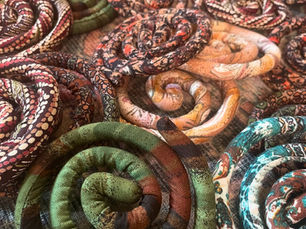 Spiralocks , wat zijn het precies ? en waarom kunnen we niet meer zonder.