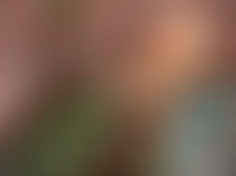 Spiralocks , wat zijn het precies ? en waarom kunnen we niet meer zonder.