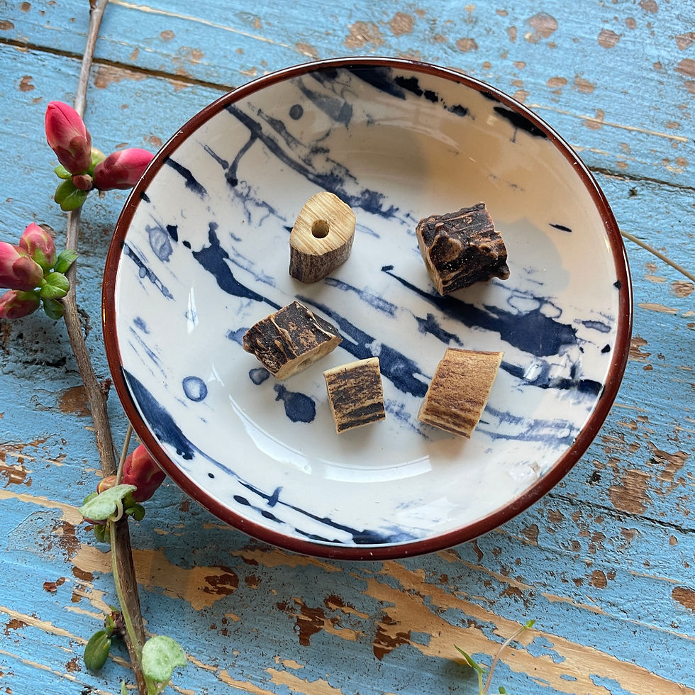 Thumbnail: Deer Antler bead Small