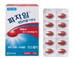 파자임이중정.png