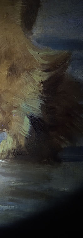 UV- Aufnahme von pastosen Zinkweißhöhen