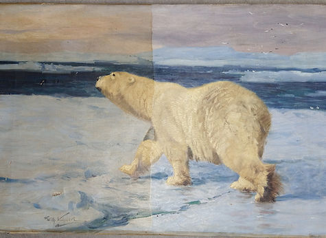 IMG_20210209_165504573 Kopie.jpg