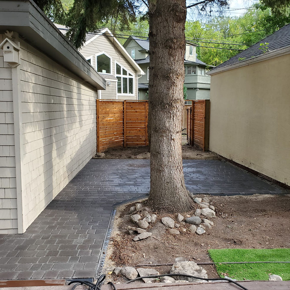Roots nutana patio after.jpg