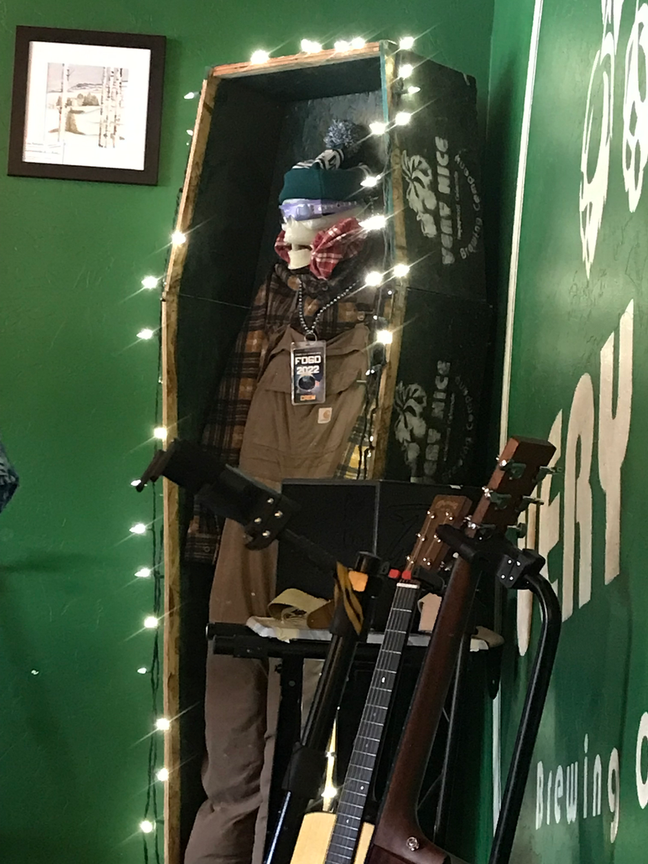 Very Nice Brewing Company (Nederland, CO)