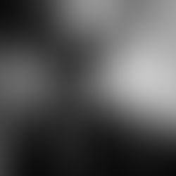 Rabbit - A Music Video