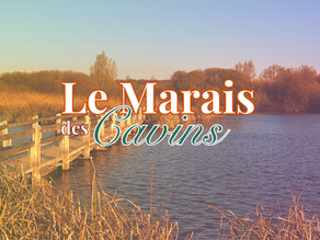 Le Marais des Cavins