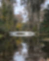 IMG_3399.jpeg
