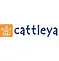 Cattleya-Logo-1.webp