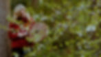 KarenK-001_edited.jpg
