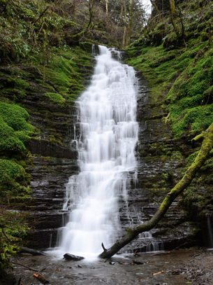 The Best Walks in Mid Wales