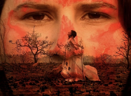 Cantora de Cuiabá anuncia videoclipe com manifesto sobre as queimadas que devastam o Pantanal