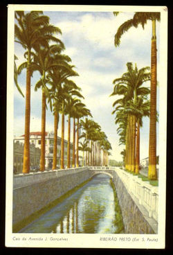 Jeronimo Gonçalves - Cópia.jpg