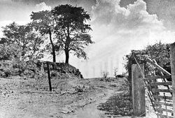 Foto da rua Alvares Cabral em direção a nove de julho 1951 - Cópia.jpg