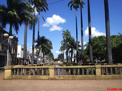 Palmeiras da Av. Jerônimo Gonçalves.jpg