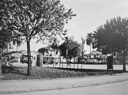 Foto de Toni Miyasaka.jpg