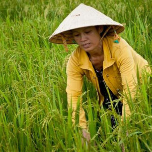 Optimalisasi Hubungan Air-Energi-Pangan Dalam Mendukung Ketahanan Pangan Indonesia