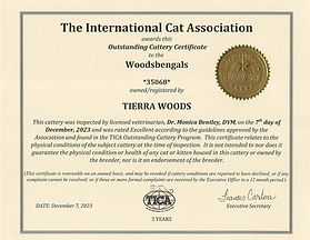 Outstanding Cattery Certificate (1).jpg