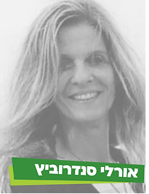 אורלי 2.png