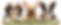 ChatGPT Image Jul 28, 2026, 11_32_02 AM.png