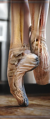 ballet-dancers-foot-singlecell-animation-llcscience-photo-library.jpg