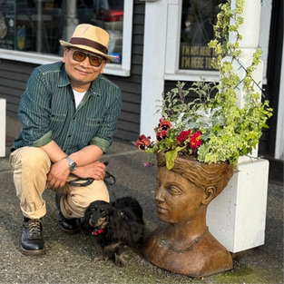 Reactive dog balanced training board and train in Vancouver BC