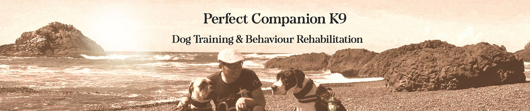 Travelling with my two dogs along the Oregon coast.