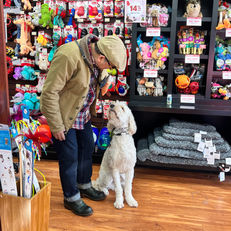 Dog training in the pet store