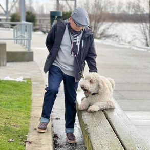 Why and When to use leash correction?