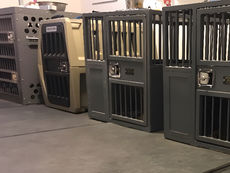  Dog's bedroom with climate control (air conditioning and heat), airpurifier with UVC, 24/7 Camera, and escape-proof crates for maximum comfort and security