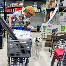 Go shopping in Rona with a dog