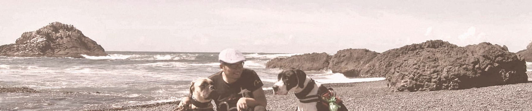 Travelling with my two dogs along the Oregon coast.