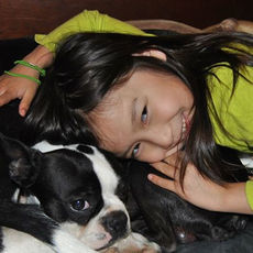 Puppy dog training socialization balanced trainer board and train Vancouver