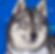 18927267_1891581667778640_954796920_o.jpg