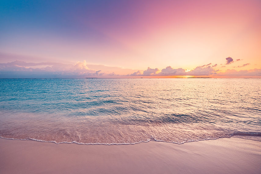 shutterstock_2399467465.jpg