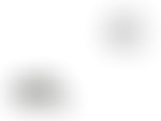 Night Auditor 50% (m/w/d), Tailormade Hotel Leo St.Gallen