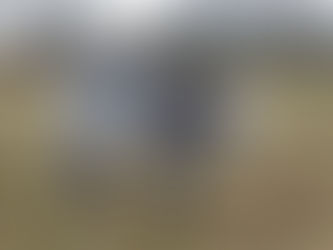 First calf ... a beautiful blue grey