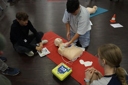 WhatsApp Bild 2025-08-27 um 16.14.48_a86a2673