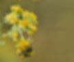 1_DSC5908-Edit copy.jpg