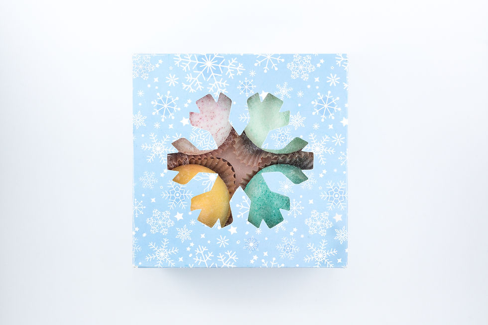 Christmas Bathbombs (box of 4)