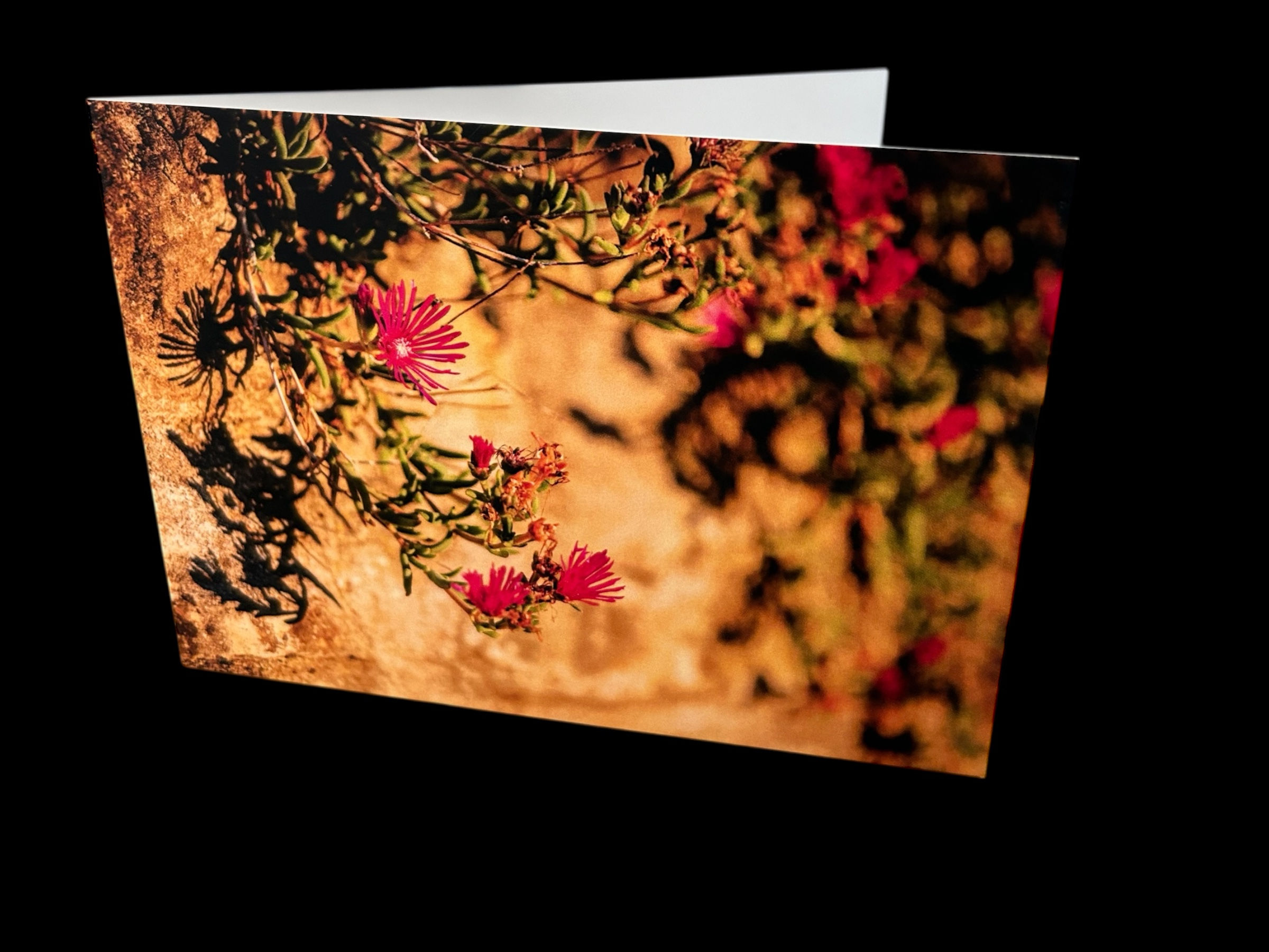 Mittagsblume, Faltkarte 10,5 x 14,8 mm