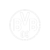 Logo from BVB