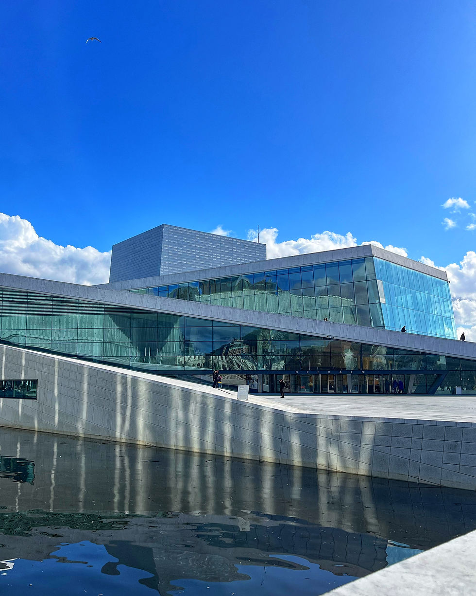 Vivre à Oslo en échange universitaire: astuces et réalité