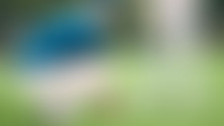 Swing 360 : une application qui révolutionne le coaching pour les pros